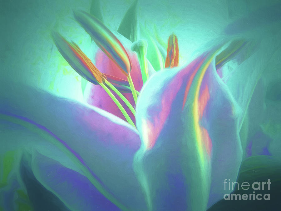 Stargazer-Floral Abstract Photograph by Scott Cameron
