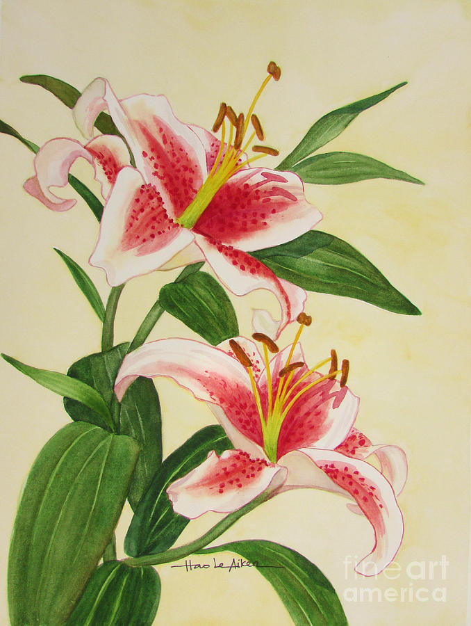 Stargazer Lilies - Watercolor Painting by Hao Aiken