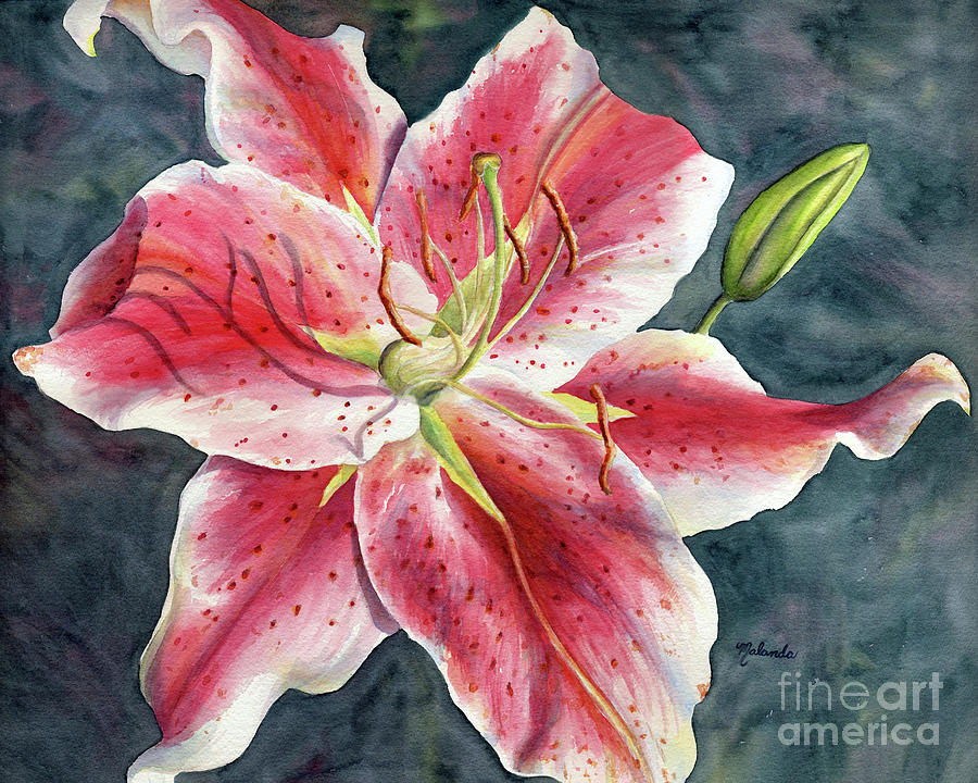 Stargazer Painting by Malanda Warner - Fine Art America