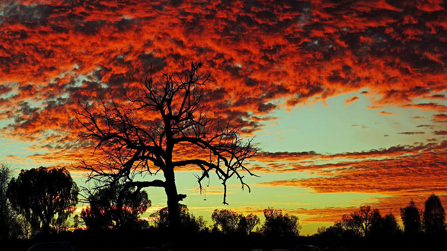 Stark Sunrise Outback Australia Photograph by Lawrence S Richardson Jr