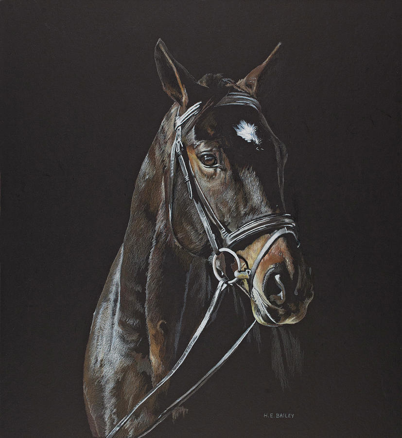 Horse Drawing - Starlight Express by Helen Bailey