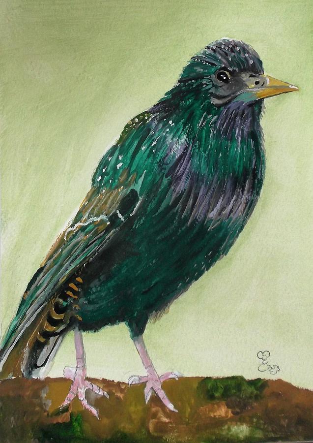Starling Painting by Carole Robins