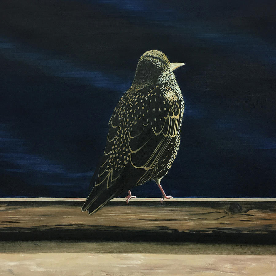 London Painting - Starling by Elisenda Vila London Painting - Starling by Elisenda Vila