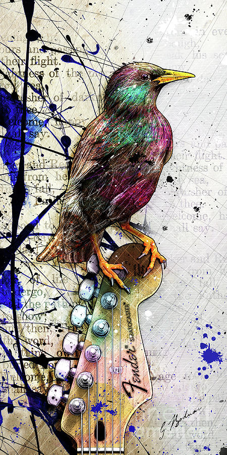 Music Digital Art - Starling On A Strat by Gary Bodnar