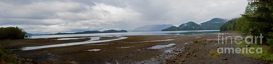 Starrigavan Estuary Panorama-Signed-12.25x52 Photograph by J L Woody Wooden