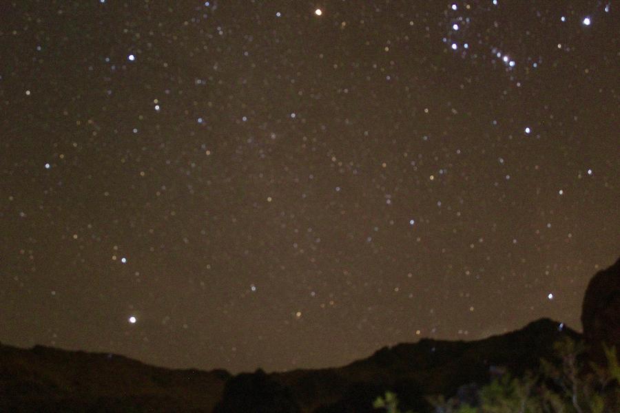 Starry Desert Night Photograph by Stevie Steele - Fine Art America