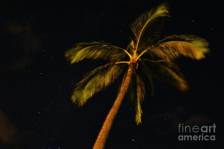 Starry Hawaiian Night Photograph by Craig Wood