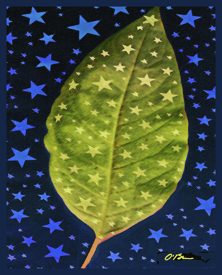 Leaf Digital Art - Starry Leaf on a Starry Night by Claudia OBrien