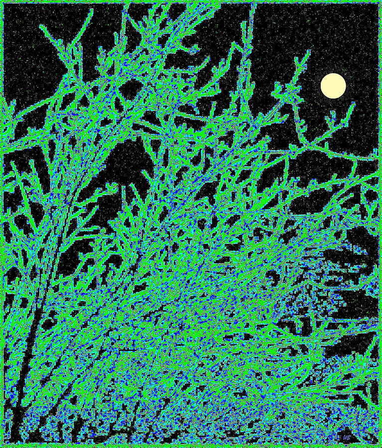 Starry Moonlit Night Digital Art by Will Borden