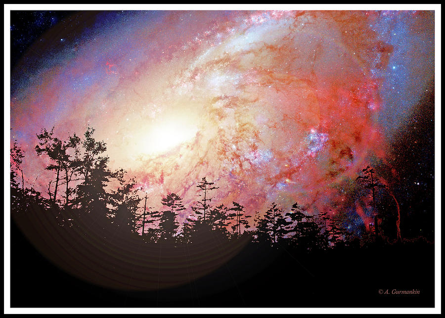 Starry Night above a Forest Digital Art by A Macarthur Gurmankin