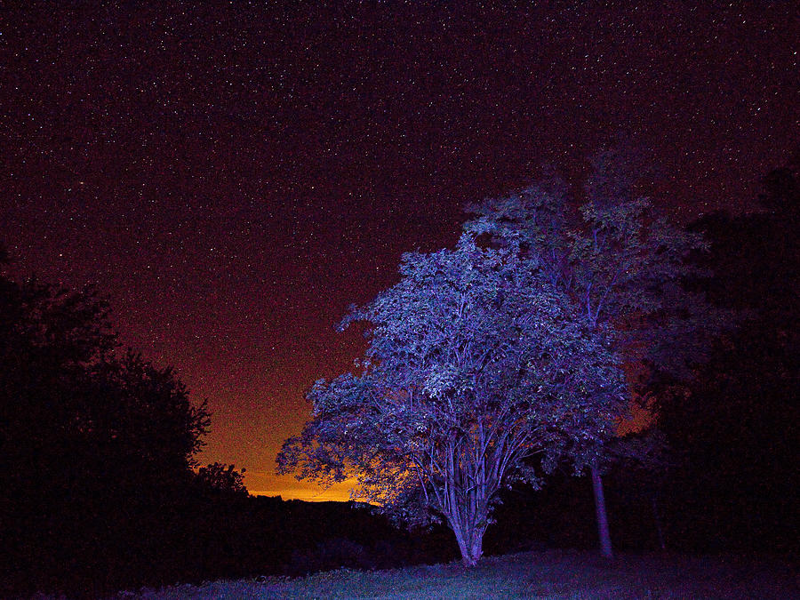 Starry night Photograph by Casper Cammeraat