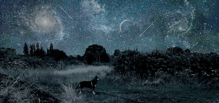 Starry Night Sky In Cheshire England And A German Shepard Dog Photograph by Suzanne Powers