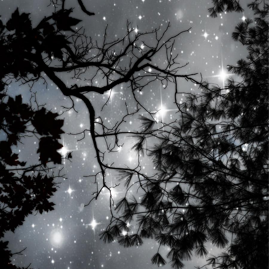 Starry Night Sky Photograph by Marianna Mills