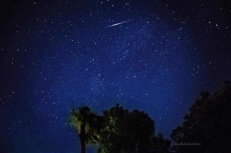 Stars Photograph - Starry Night UFO by La Rae Roberts