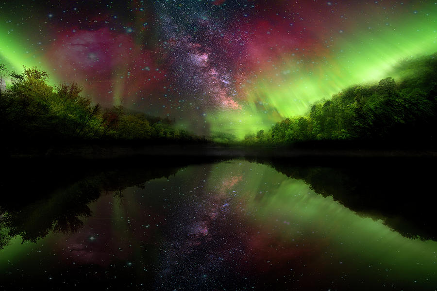 Starry Northern Lights Photograph by Debra and Dave Vanderlaan