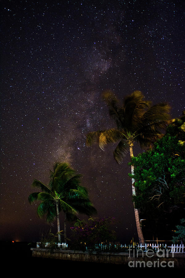 Starry Point Photograph by Quinn Sedam