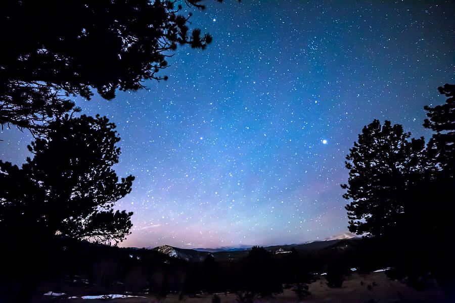Starry Rocky Mountain Forest Night Photograph