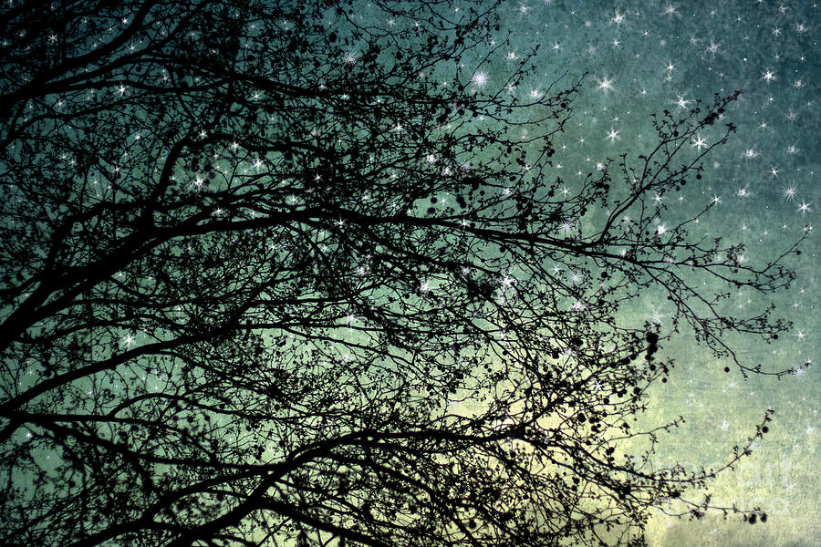 Nature Photograph - Starry Sky by Violet Gray