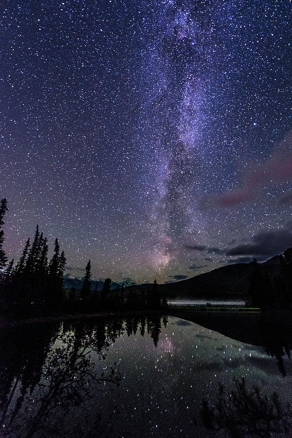 Starry Starry Night Photograph by Alex Lapidus