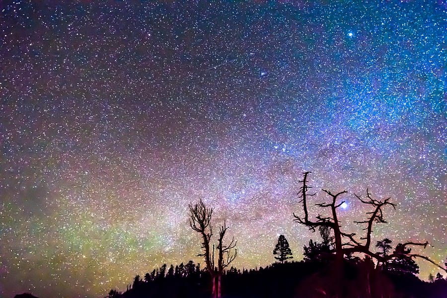 Starry Universe Photograph