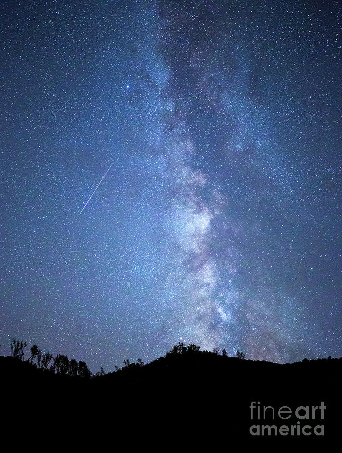 Stars And A Meteor Photograph by Mimi Ditchie