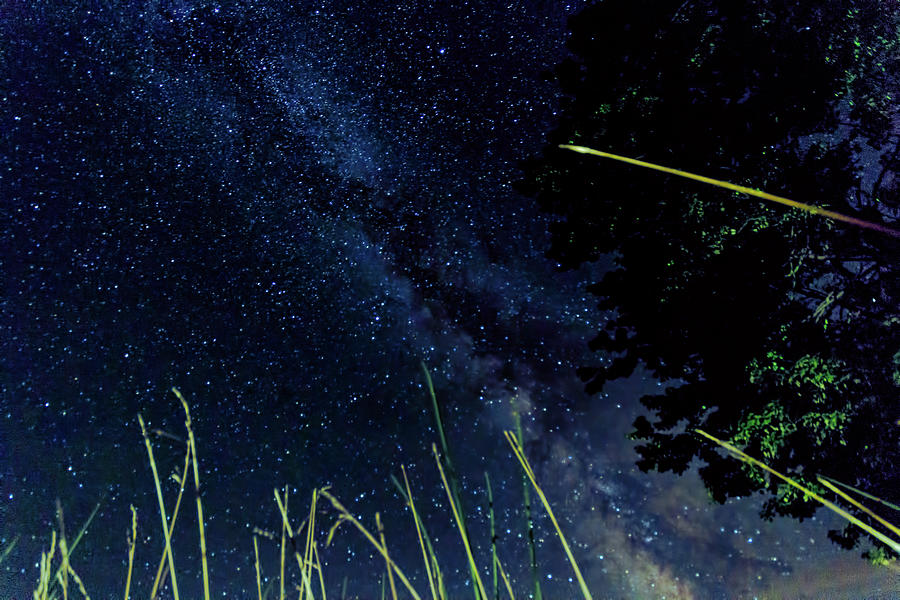 Stars and Saw Grass Photograph by Joe Holley