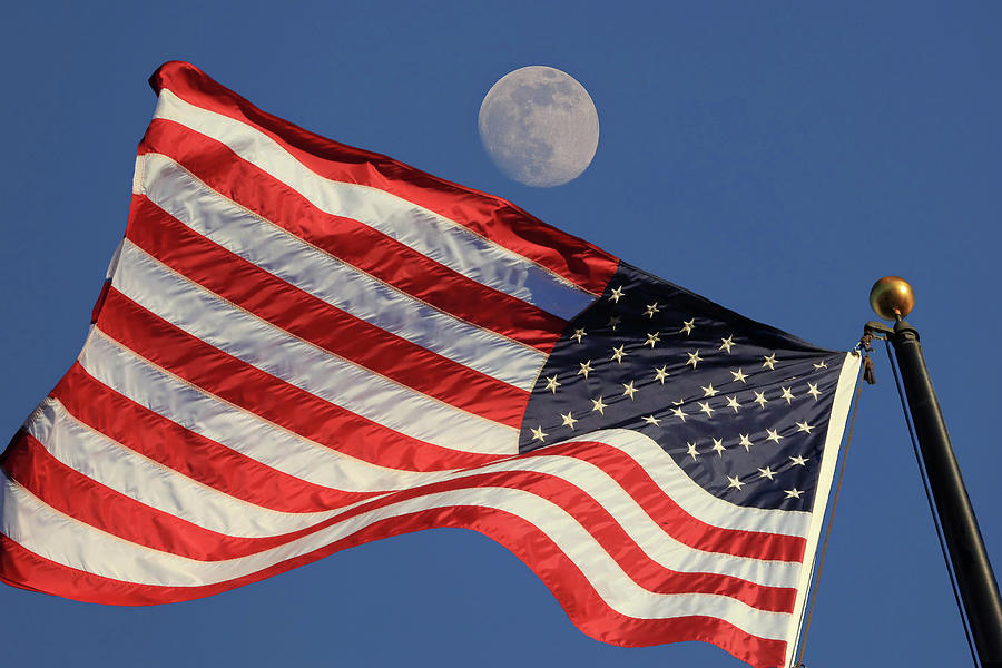 Stars and Stripes Photograph by Donna Kennedy