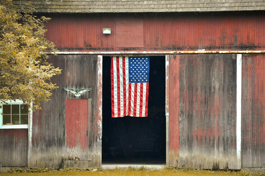 Stars And Stripes Photograph by JAMART Photography