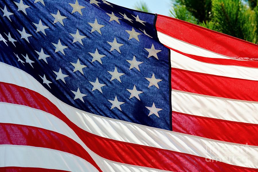 Stars and Stripes Photograph by Julie Adair