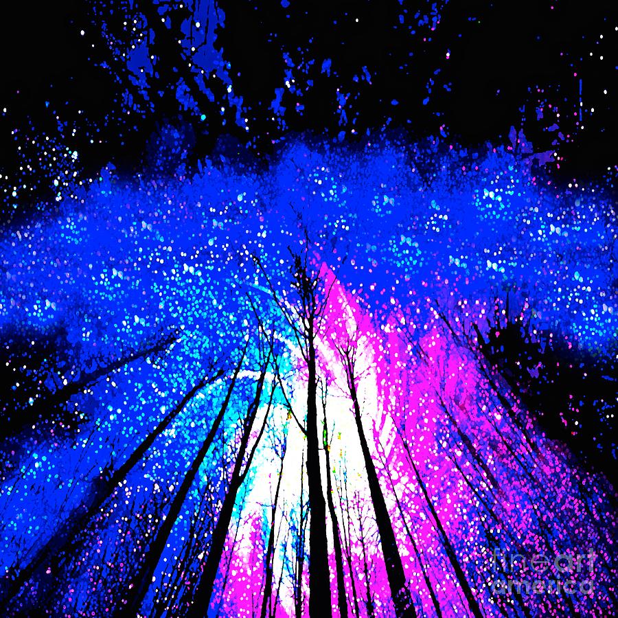 Stars and Trees Digital Art by Saundra Myles