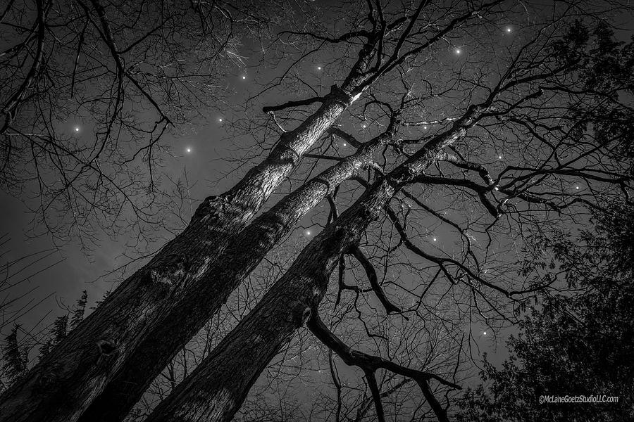Stars at Night Photograph by LeeAnn McLaneGoetz McLaneGoetzStudioLLCcom