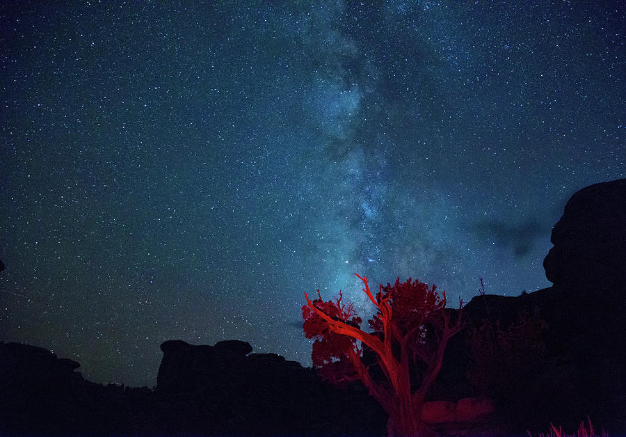 Stars canyons and junipers Photograph by Kunal Mehra
