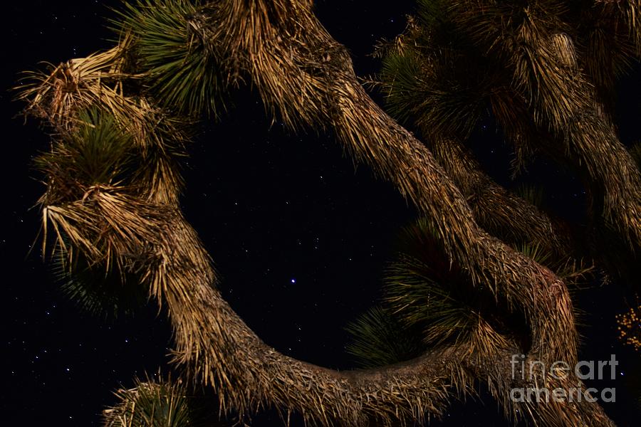 Stars In Between Photograph by Angela J Wright