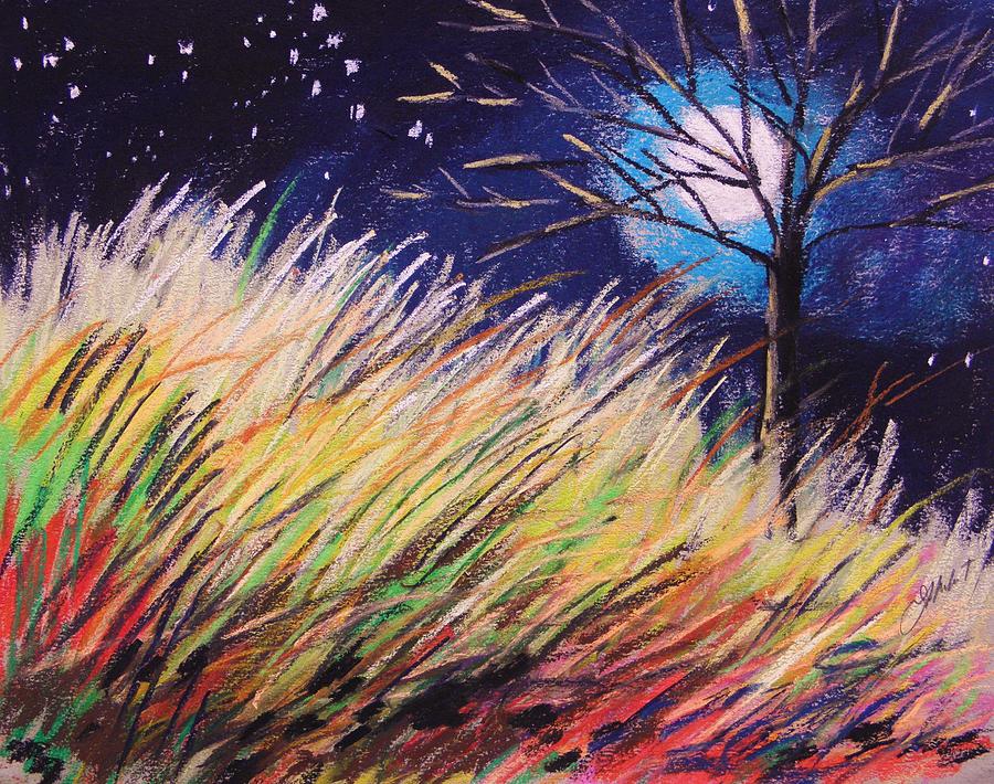 Stars Over Grasses Drawing by John Williams