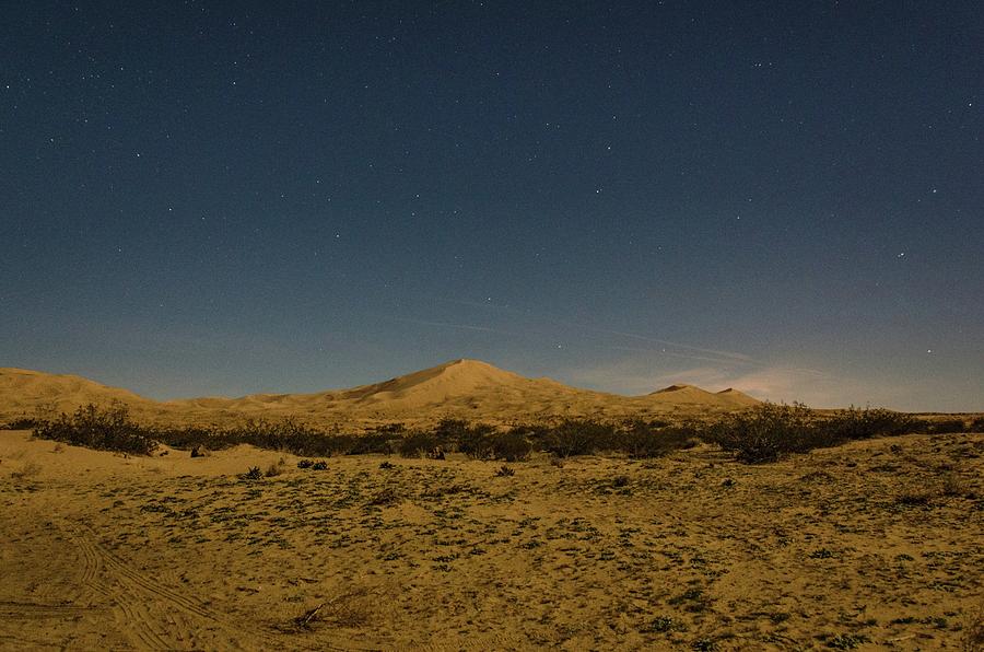 Stars over Kelso Dunes Photograph by Gaelyn Olmsted