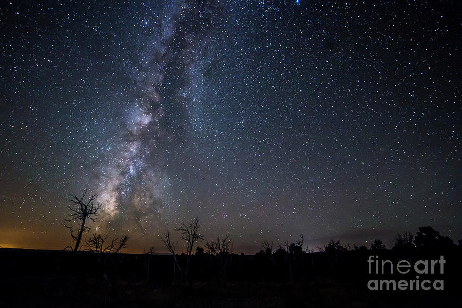 National Parks Photograph - Stars over Mesa Verde by Twenty Two North Photography