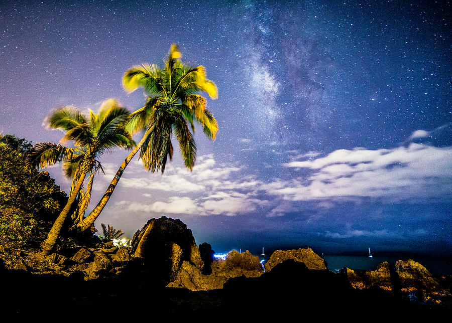 Stars over Palms Photograph by Drew Sulock