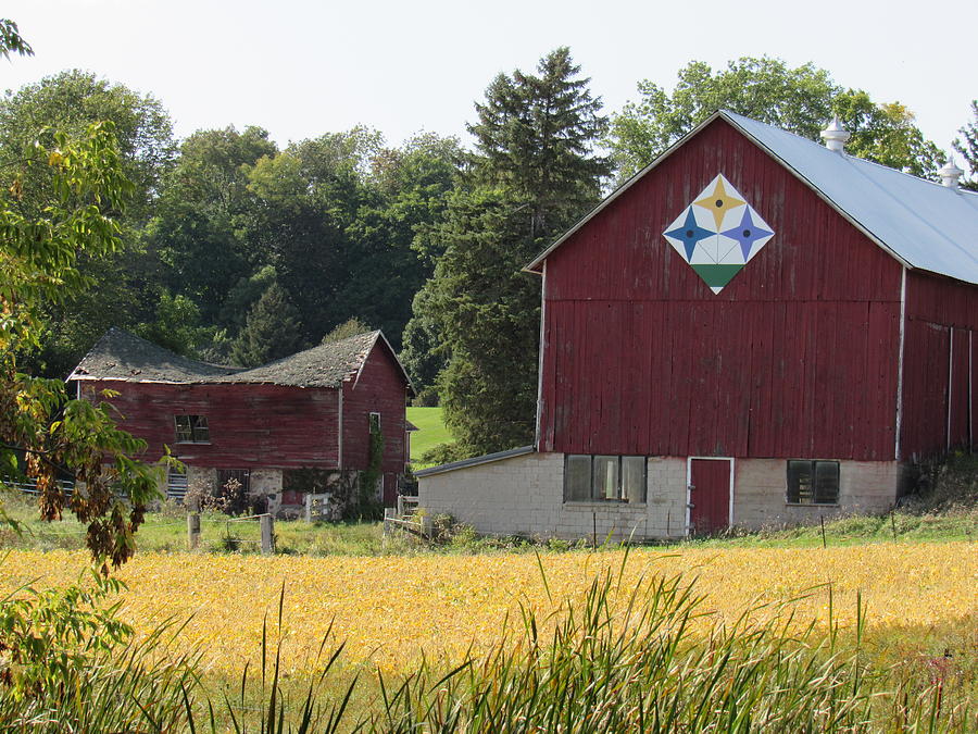 Barn Quilt Photograph - Stars Over Wisconsin by Barbara Ebeling