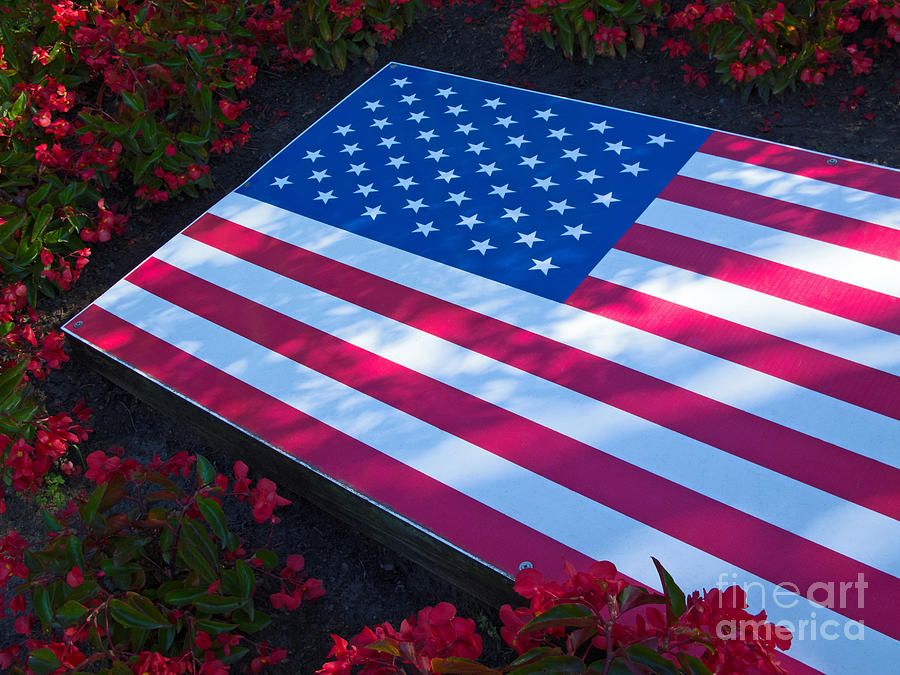 Flower Photograph - Stars, Stripes and Flowers by Ann Horn