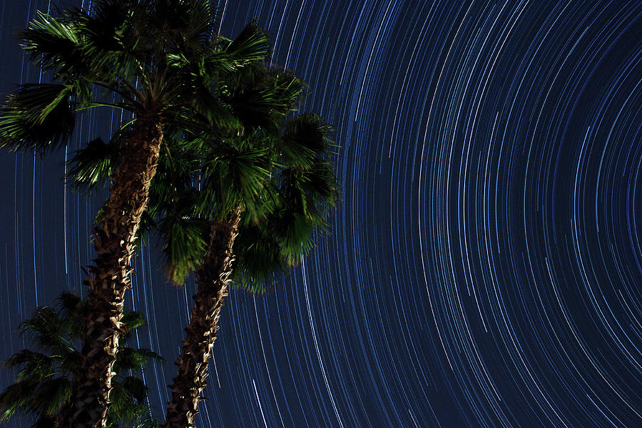 Interstellar Photograph - Stars Trails in the Palms 2 by Philip Cruden