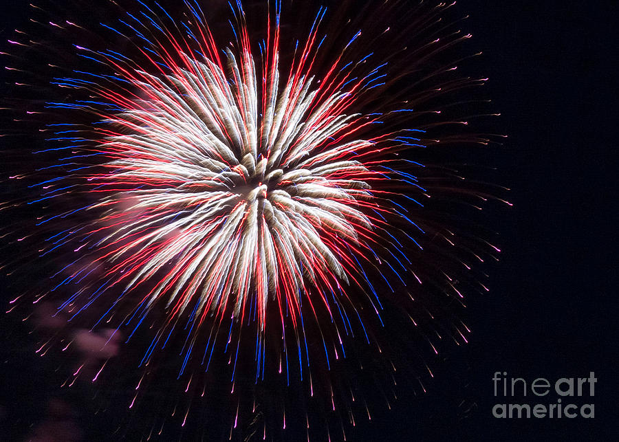 Starspangled Fireworks Photograph by Karen Jorstad