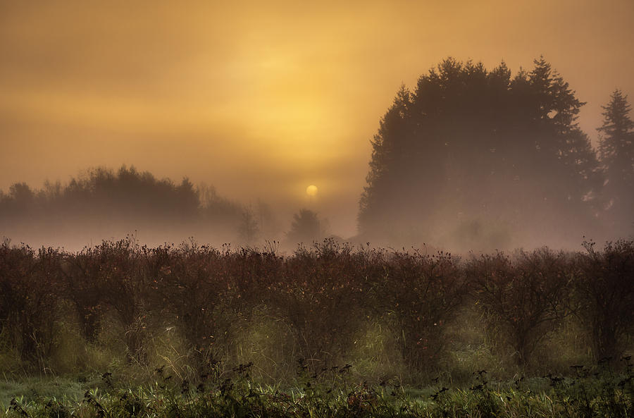 Washington Photograph - Start Of A New Day by Blanca Braun Washington Photograph - Start Of A New Day by Blanca Braun