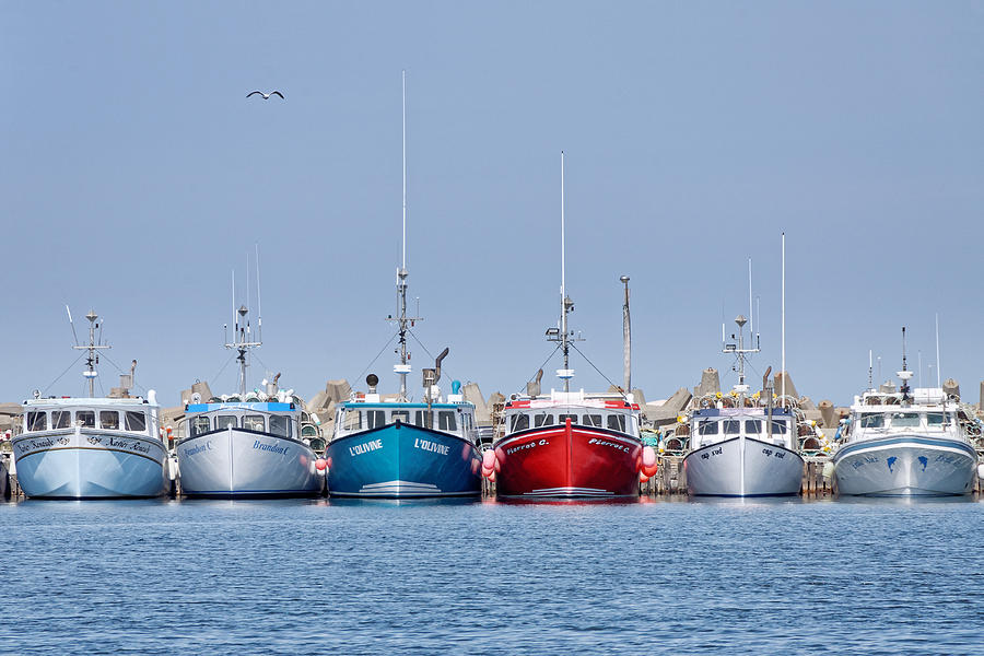 Starting Line -- Lobster Boats in LEtang-du-Nord, Quebec, Canada Photograph by Darin Volpe