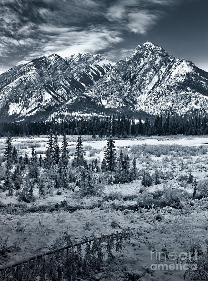 Banff National Park Photograph - Starting to Look a Lot Like Christmas by Royce Howland