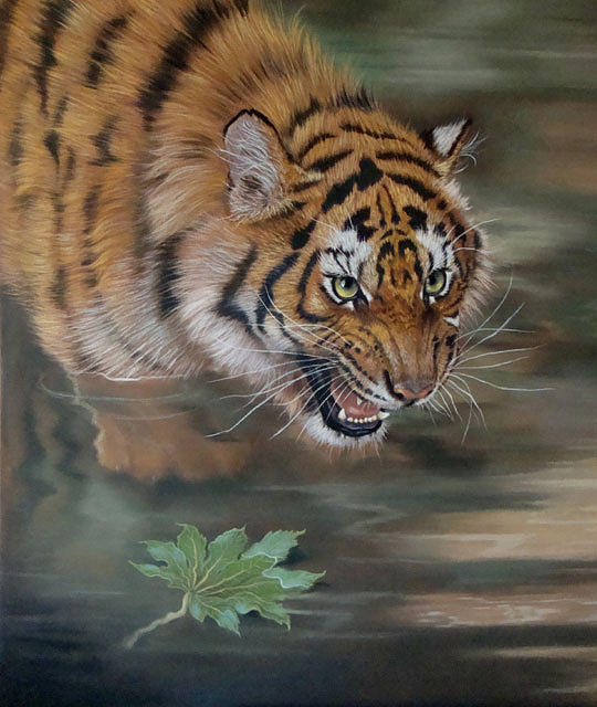 Startled - A young Sumatran Tiger Painting by Kat Davies - Fine Art America