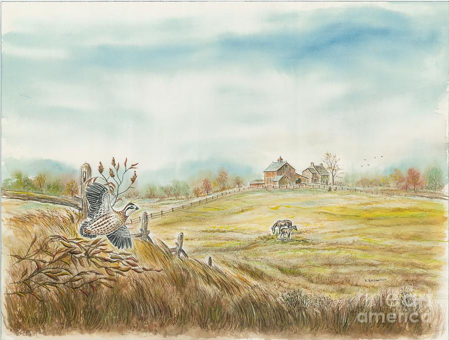 Startled Quail In the Pasture Painting by Samuel Showman - Fine Art America