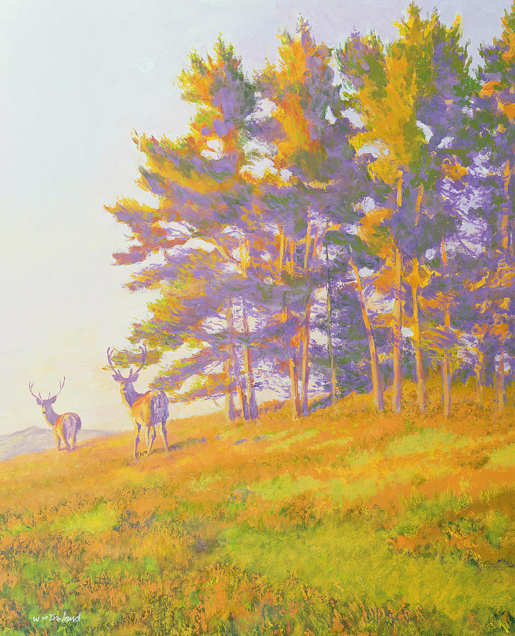 Deer Painting - Startled by William Ireland