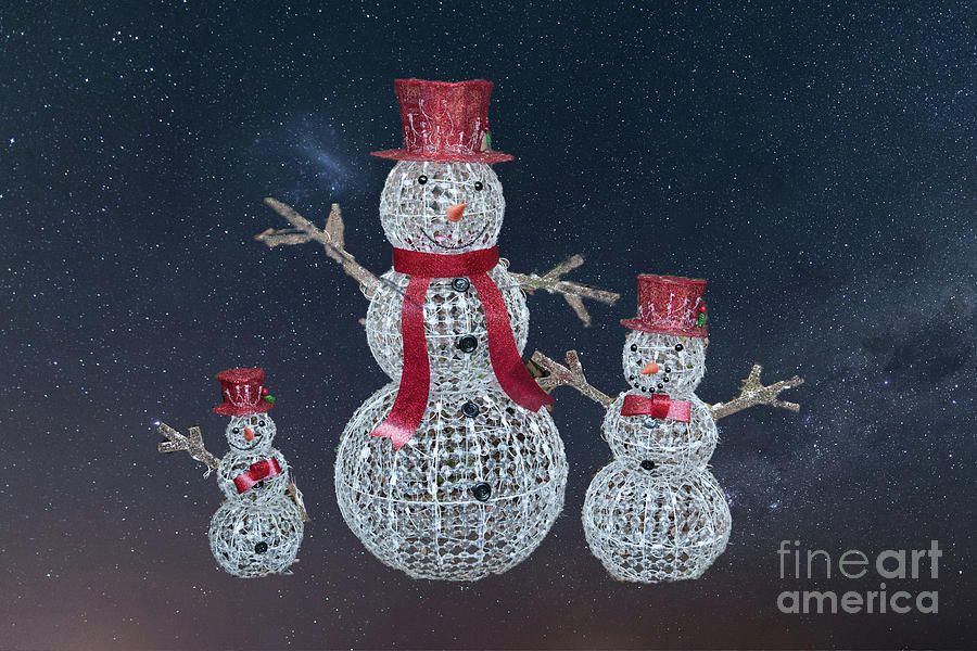 Stary Snowmen  Photograph by Dale Powell