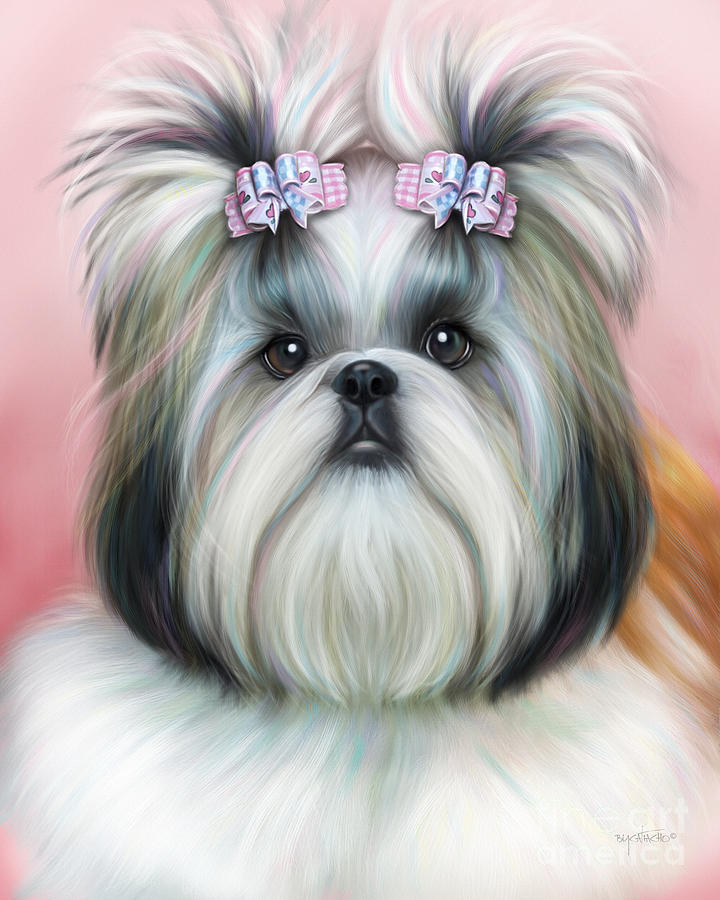 Stassi the Tzu Painting by Catia Lee