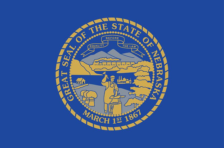 State Flag of Nebraska Painting by American School